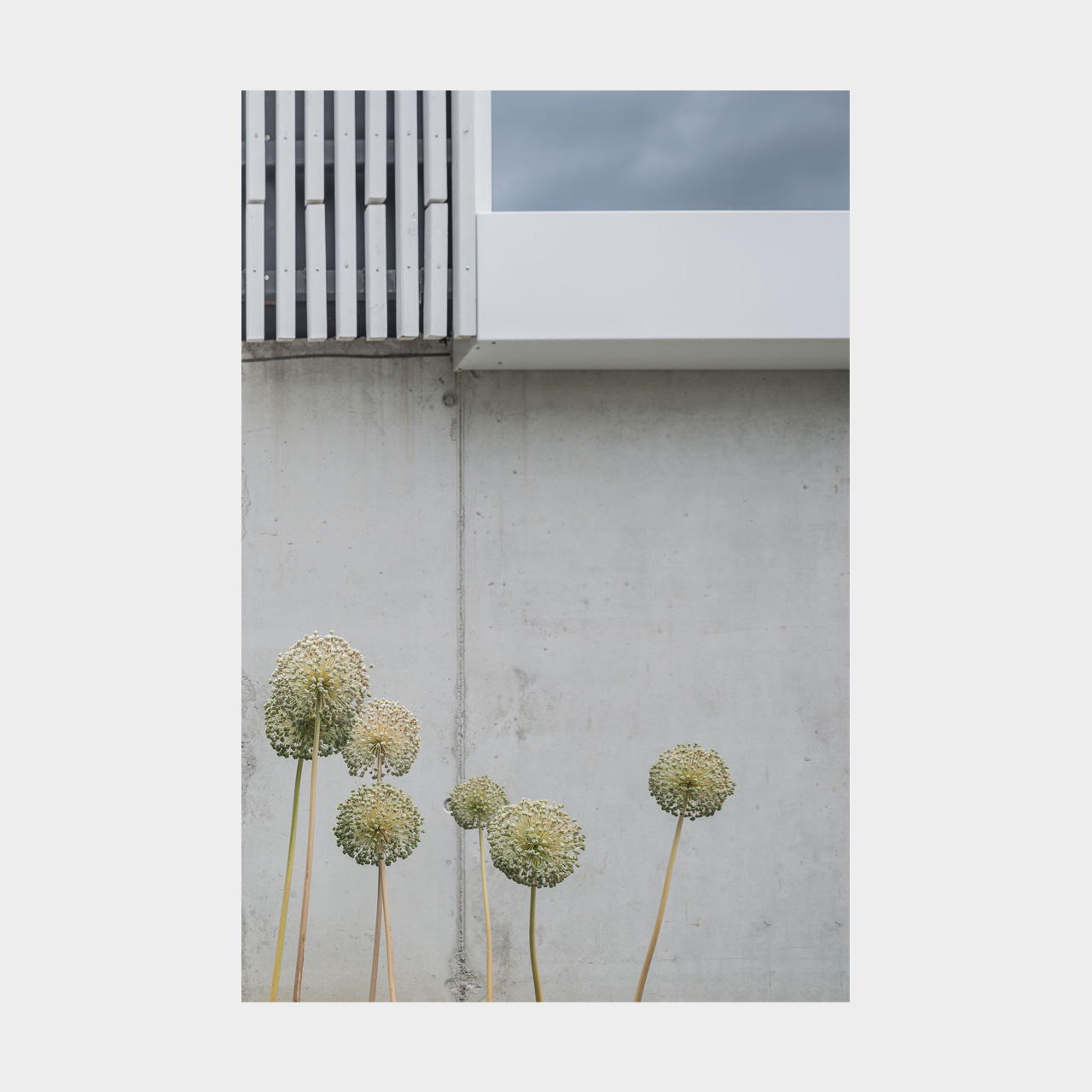 Architekturfotografie Aufstockung Doppelgarage zum Büro und Studio Königsbrunn
