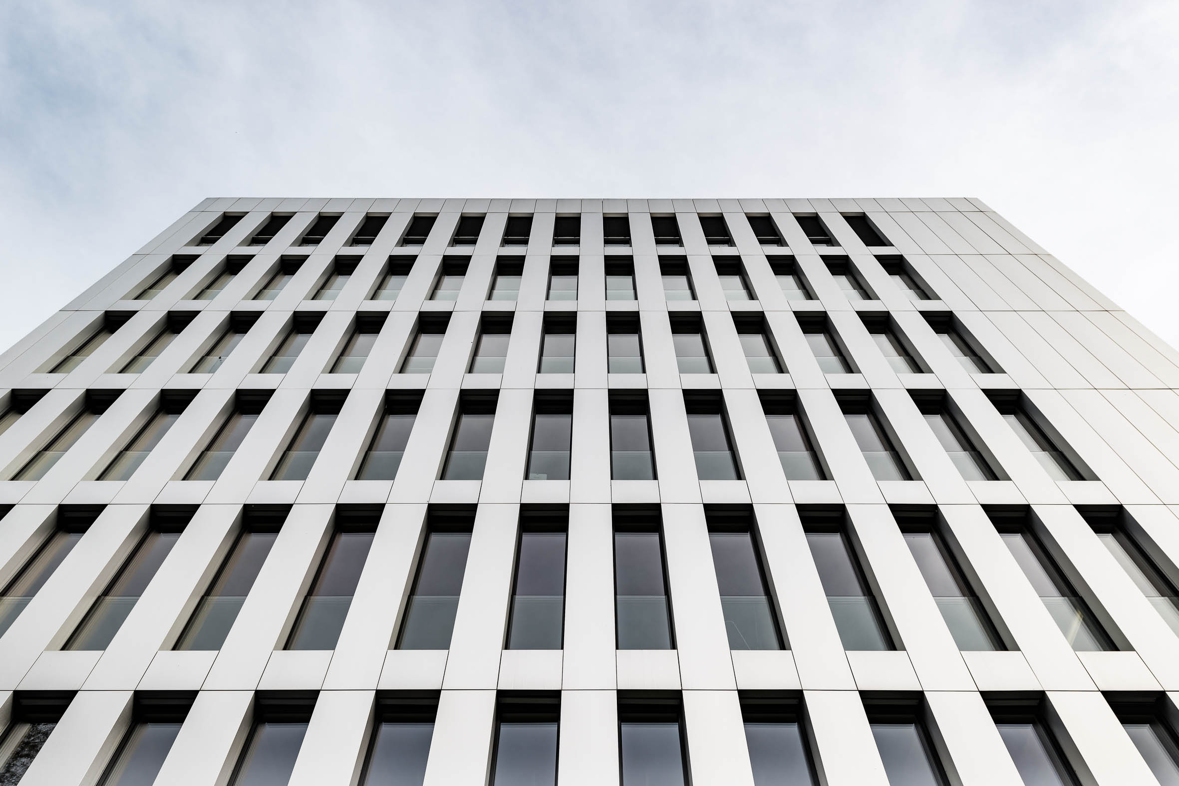 Single dornbirn