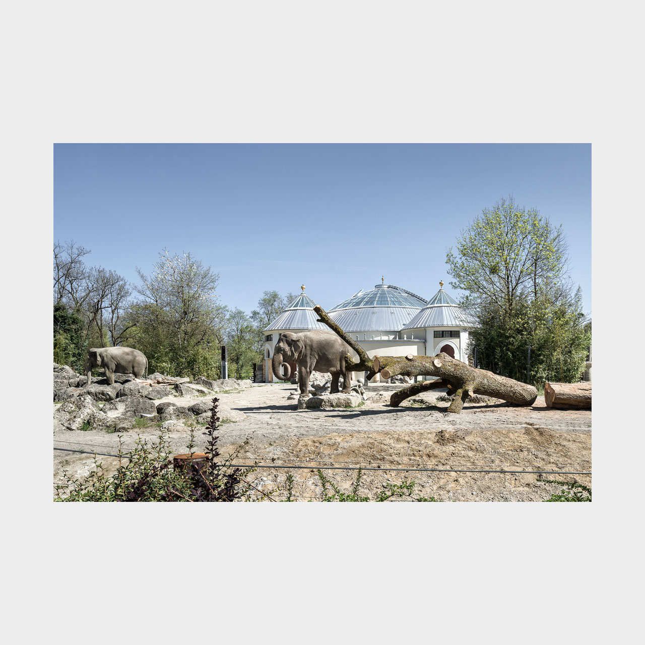 Architekturfotografie Elefantenhaus Tierpark Hellabrunn München