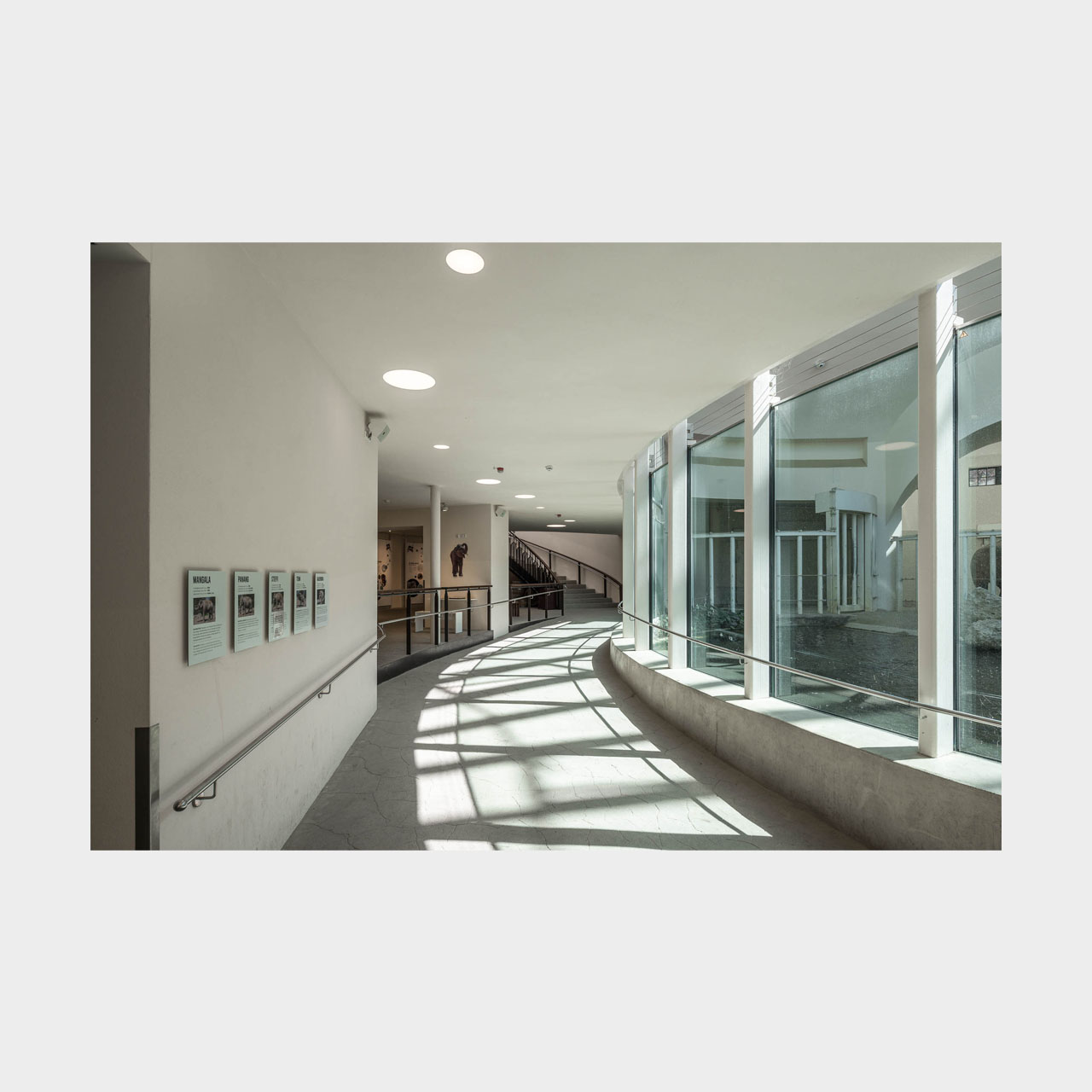 Architekturfotografie Elefantenhaus Tierpark Hellabrunn München