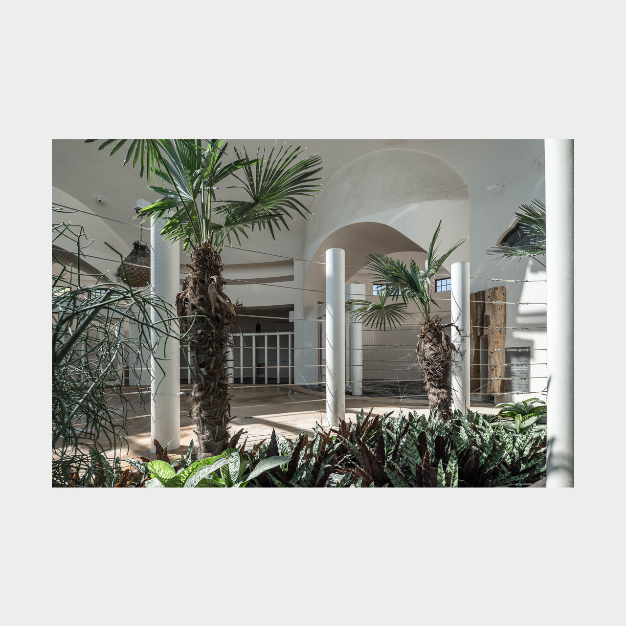 Architekturfotografie Elefantenhaus Tierpark Hellabrunn München