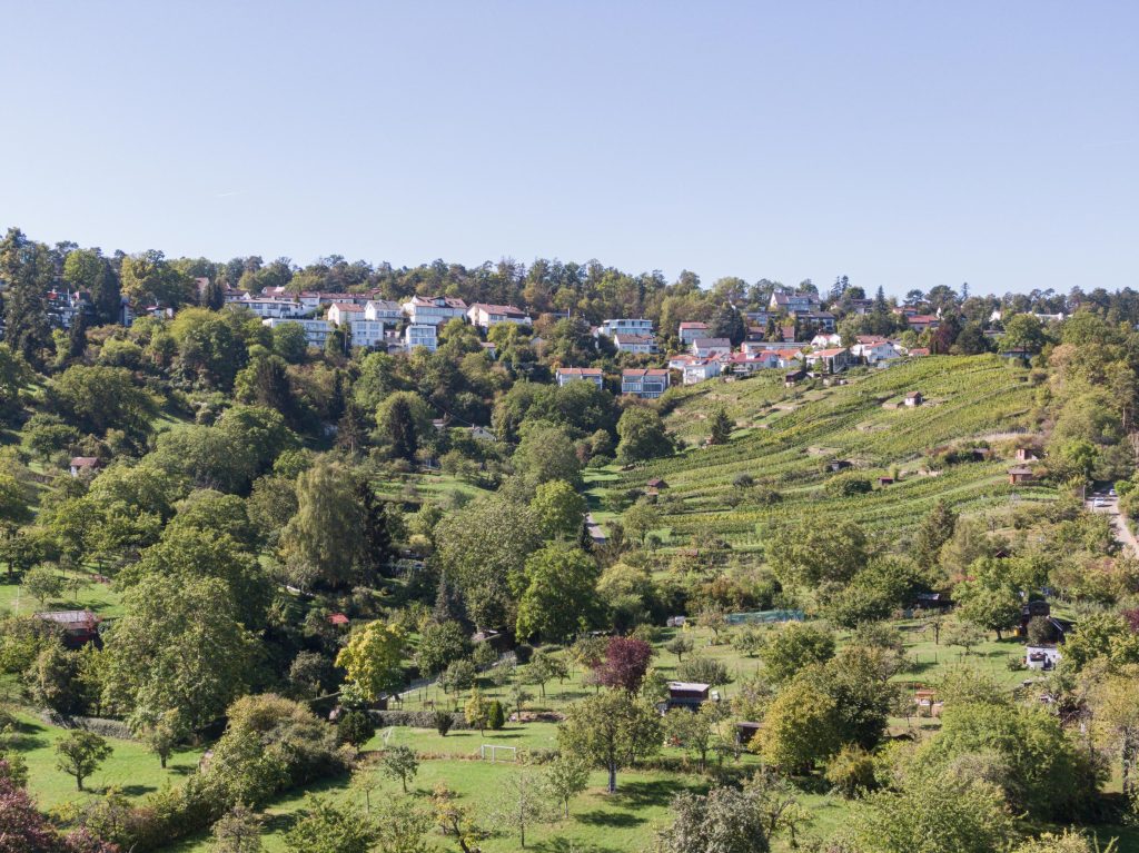 Haus W Gerlingen | Weber + Hummel Architekten Stuttgart | Architekturfotografie: Gerd Schaller
