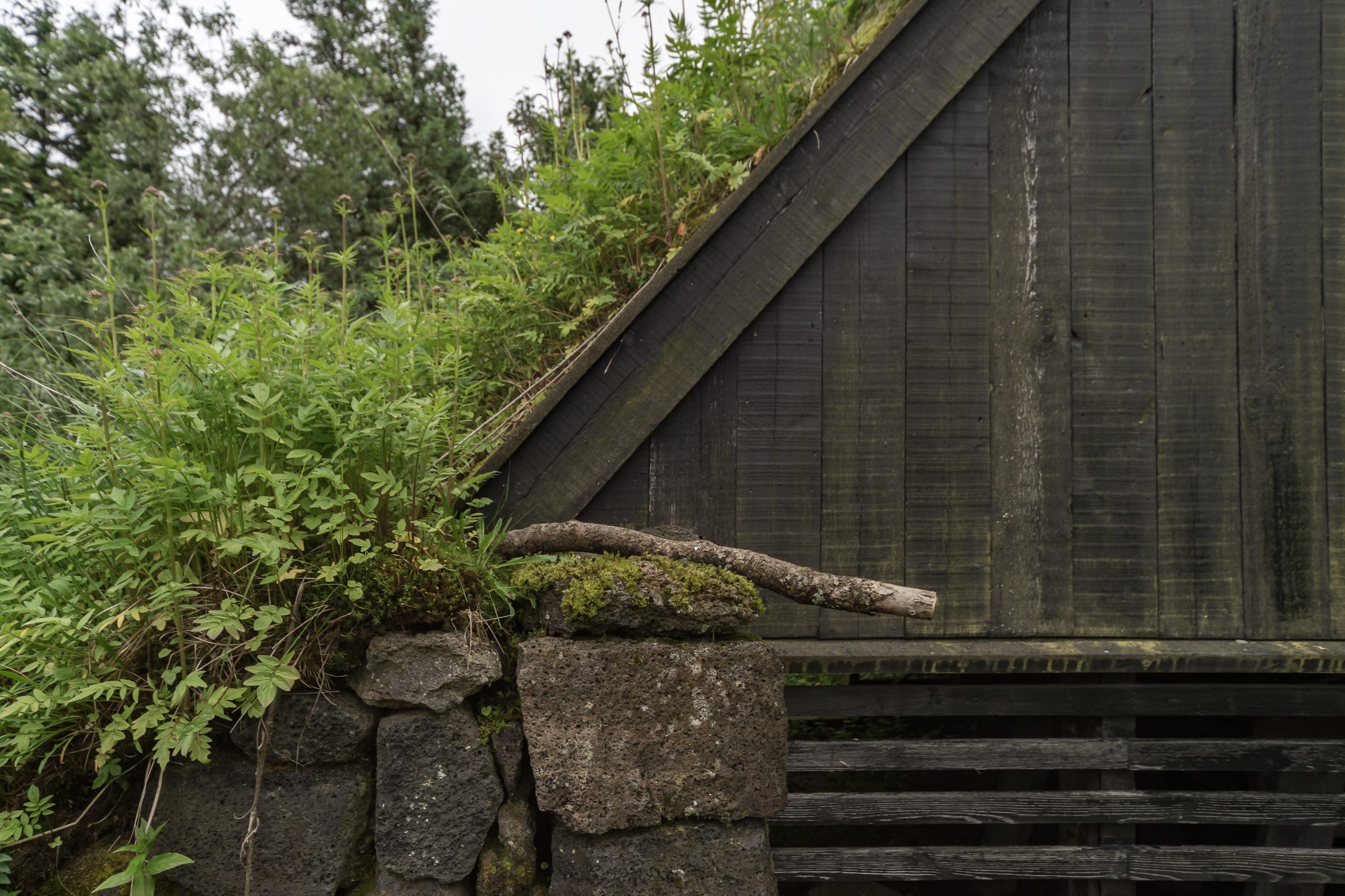 Architekturfotografie Turf House Íslenski Bærinn Austur-Meðalholt | Gerd Schaller | BAUWERK PERSPEKTIVEN
